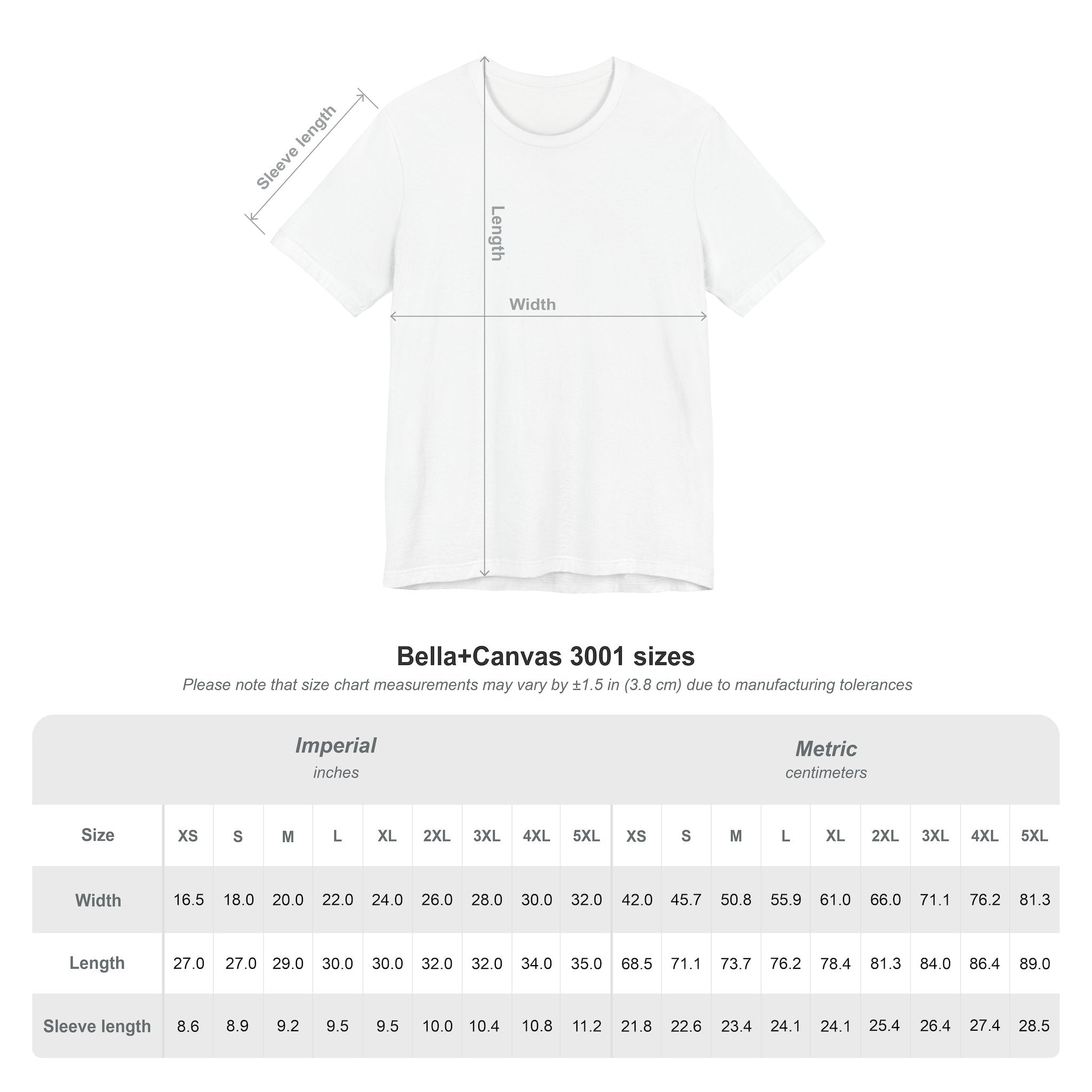 Remove Before Flight T-Shirt